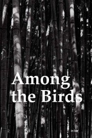 Watch Among the Birds Movies Free Online on MoviesJoy