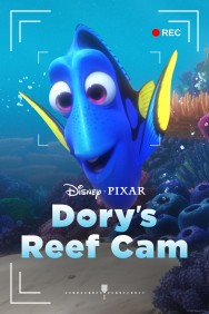 Stream Dory's Reef Cam Movies in HD Free on MoviesJoy