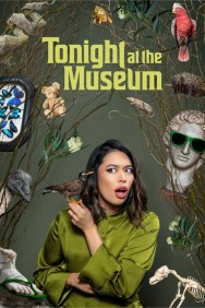 titta-Tonight at the Museum