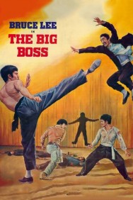 Watch Free The Big Boss Movies HD Online FMovies Alternatives site