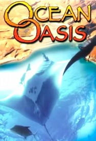 Stream Ocean Oasis Movies in HD Free on MoviesJoy