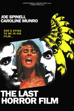 Enjoy Free HD Viewing of The Last Horror Film on Putlocker