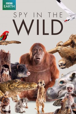 Watch Free Spy in the Wild Full Movies MyFamilyTV