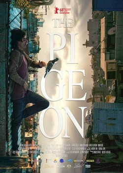 Watch free The Pigeon movies Hd online