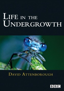 Watch Free Life in the Undergrowth Movies Online on TheFlixer Alternatives site