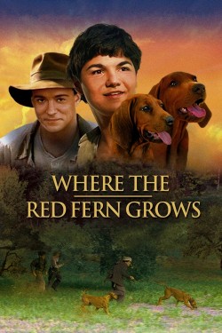 Watch Free Where the Red Fern Grows Movies Full HD Online - Soap2Day