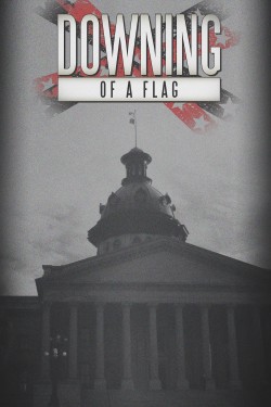 Watch Free Downing of a Flag Movies Online on TheFlixer Alternatives site