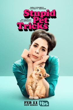 Watch free Stupid Pet Tricks movies online - GoMovies