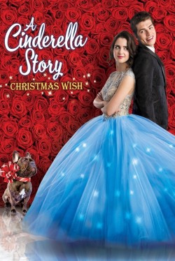 A Cinderella Story: Christmas Wish full