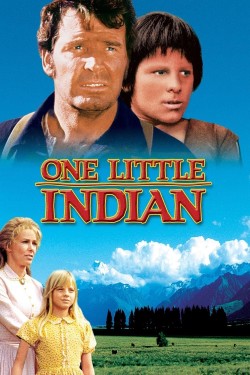 Enjoy Free HD Viewing of One Little Indian on Putlocker