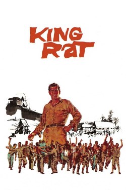 Watch free King Rat movies online | Gomovies