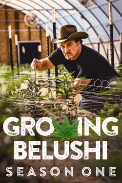 Growing Belushi - Season 1