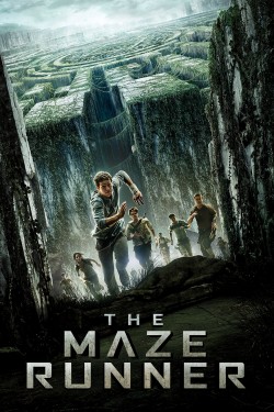 Watch free The Maze Runner movies Hd online on TinyZone