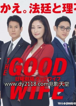 Watch Free The Good Wife Full Movies HD Online Vumoo