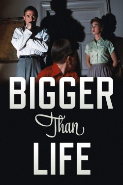 Watch free Bigger Than Life movies Hd online on TinyZone