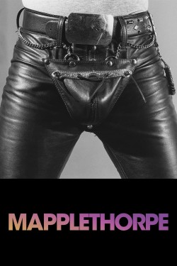 Enjoy Free HD Viewing of Mapplethorpe on Putlocker