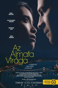 Watch Free Az almafa virága Movies Full HD Online on M4uHD