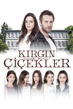 Watch Free Kırgın Çiçekler Movies Full HD