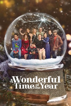 Watch free A Wonderful Time of the Year hd online