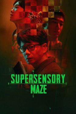 Watch Free Supersensory Maze Movies HD Free HDToday
