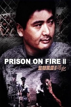 Enjoy Free HD Viewing of Prison on Fire II on Putlocker