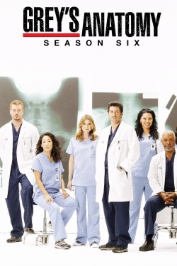 Grey's Anatomy - Season 6