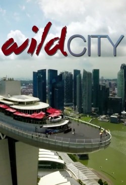 Watch Wild City movies free on SFlix