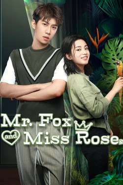 Watch free Mr. Fox and Miss Rose full