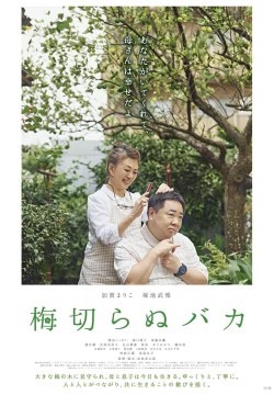 Enjoy Free HD Viewing of The Lone Ume Tree on Putlocker