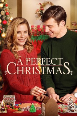 Watch free A Perfect Christmas movies online