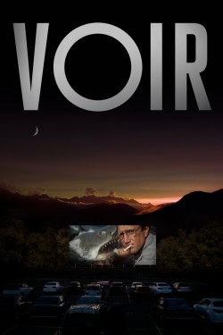 Enjoy Free HD Viewing of VOIR on Putlocker