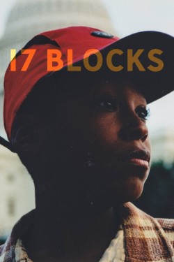 Watch free 17 Blocks movies online