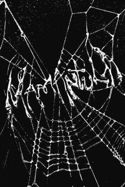 Mamántula-stream