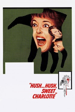 Enjoy Free HD Viewing of Hush... Hush, Sweet Charlotte on Putlocker