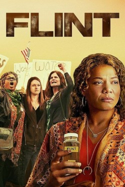 Watch free Flint movies online