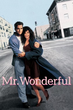 watch Mr. Wonderful movies free online