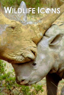 Watch Free Wildlife Icons Movies HD Online Soap2Day