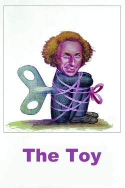 Watch Free The Toy Movies Online on TheFlixer Alternatives site