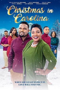 Watch Free Christmas in Carolina Movies Online on TheFlixer Alternatives site