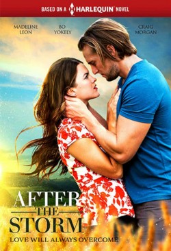 Watch free After the Storm movies Hd online on TinyZone