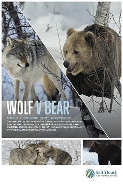 Watch Wolf vs Bear free online