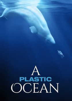 Enjoy Free HD Viewing of A Plastic Ocean on Putlocker