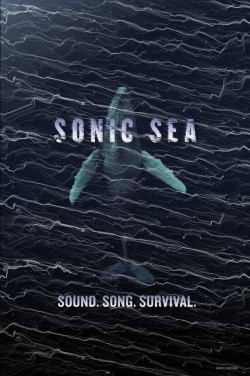 Watch free Sonic Sea movies online