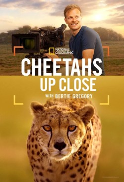 Watch free Cheetahs Up Close with Bertie Gregory movies online - GoMovies