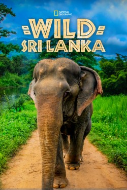 Enjoy Free HD Viewing of Wild Sri Lanka on Putlocker