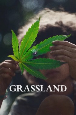 Grassland Grassland