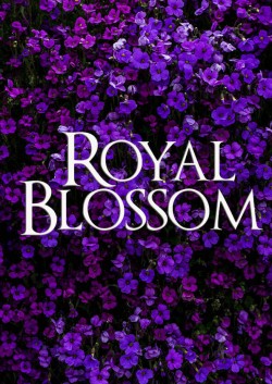 Enjoy Free HD Viewing of Royal Blossom on Putlocker