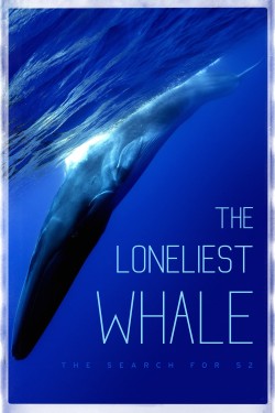 Watch The Loneliest Whale: The Search for 52 free online