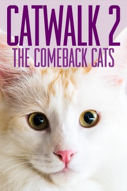 Enjoy Free HD Viewing of Catwalk 2: The Comeback Cats on Putlocker