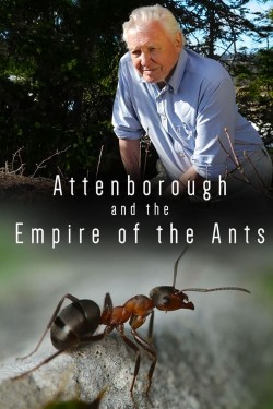 Watch Free Attenborough and the Empire of the Ants Movies HD Online Vumoo Alternatives site